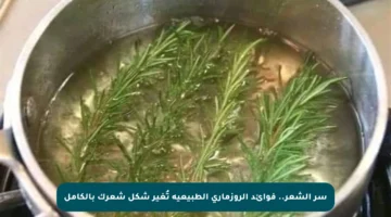 سر الشعر.. فوائد الروزماري الطبيعية تُغير شكل شعرك بالكامل